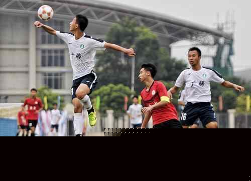 15战13负，战绩西部排倒数，4大新援集体翻车！主帅赢麻了